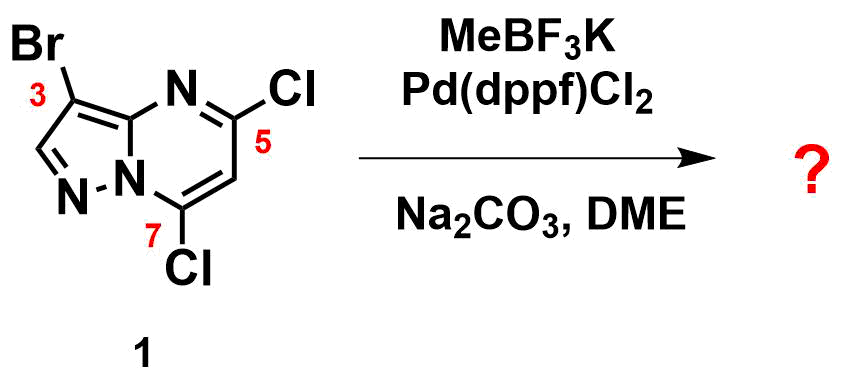 QM45-CN-F1.png