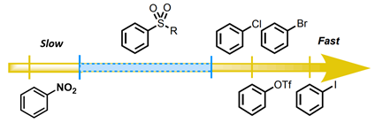 QM48-CN-F12.png