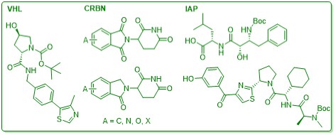 PROTAC linkers, E3 ligase ligands, Proteolysis-targeting chimera, bifunctional molecules