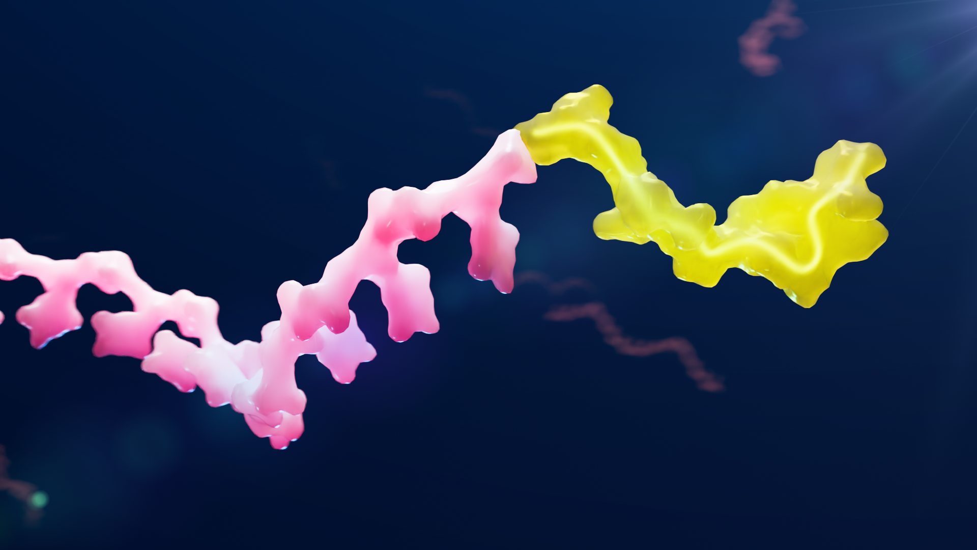 oligo-peptide(POC)-483.png